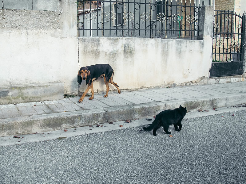 Sakis Dazanis - Street Photographer from Greece