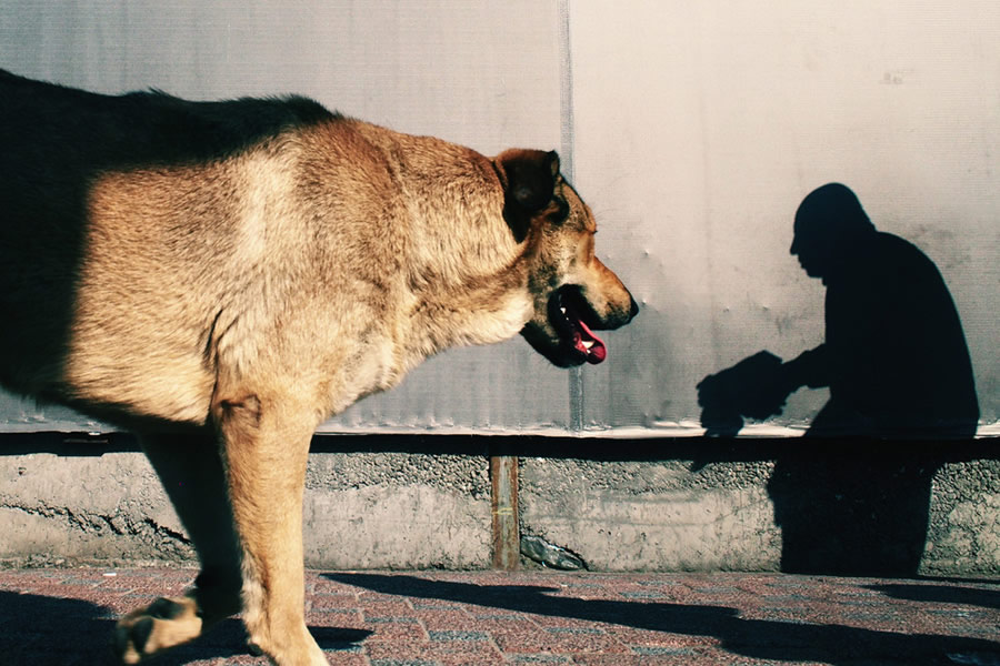 Fadi BouKaram - Street Photographer From Lebanon