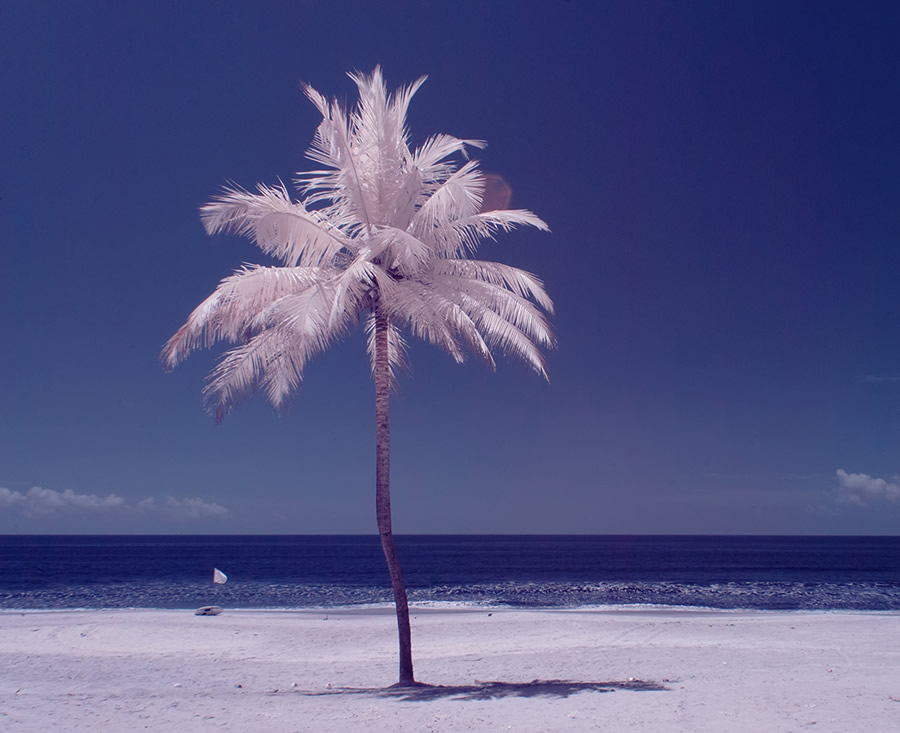 Goa - Through Photographer's Eye: Infrared Photography Series By Nimit Nigam