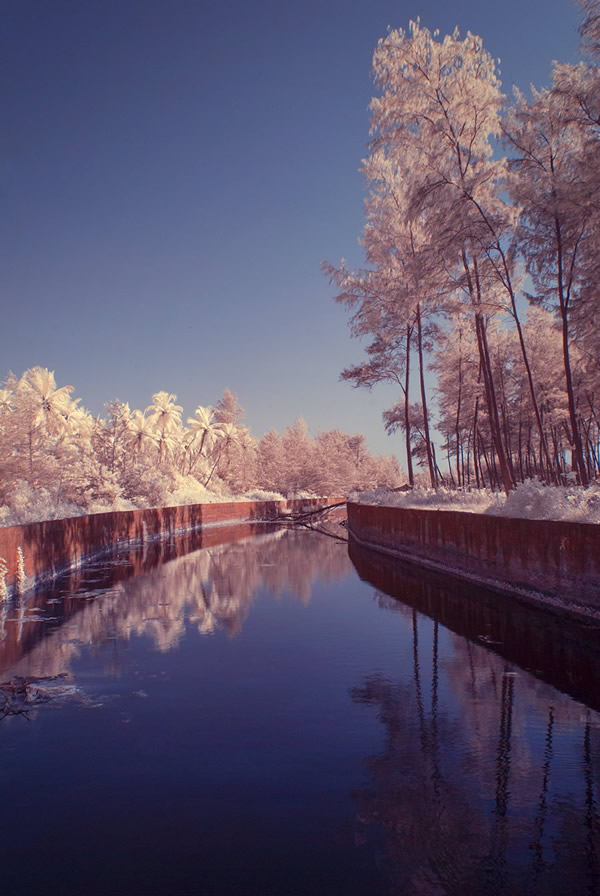 infrared photography with takumar lenses.