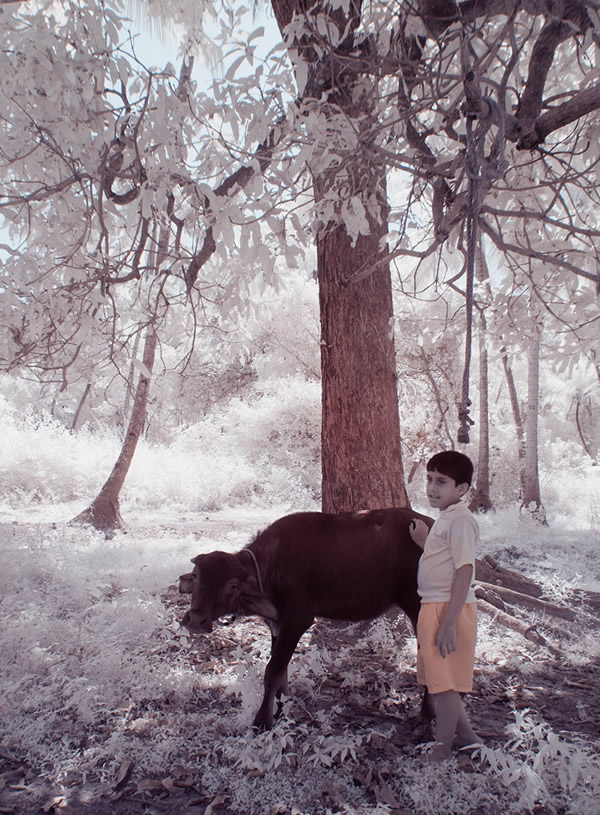 Goa - Through Photographer's Eye: Infrared Photography Series By Nimit Nigam