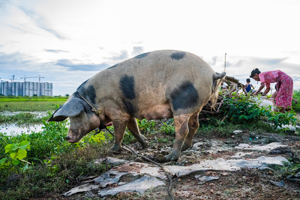Myanmar Through The Eyes Of A Local - Street Photography Series By Sai Htin Linn Htet