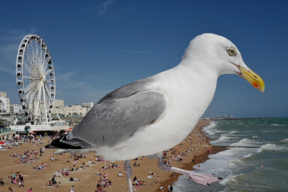 Alison Adcock - Street Photographer from United Kingdom