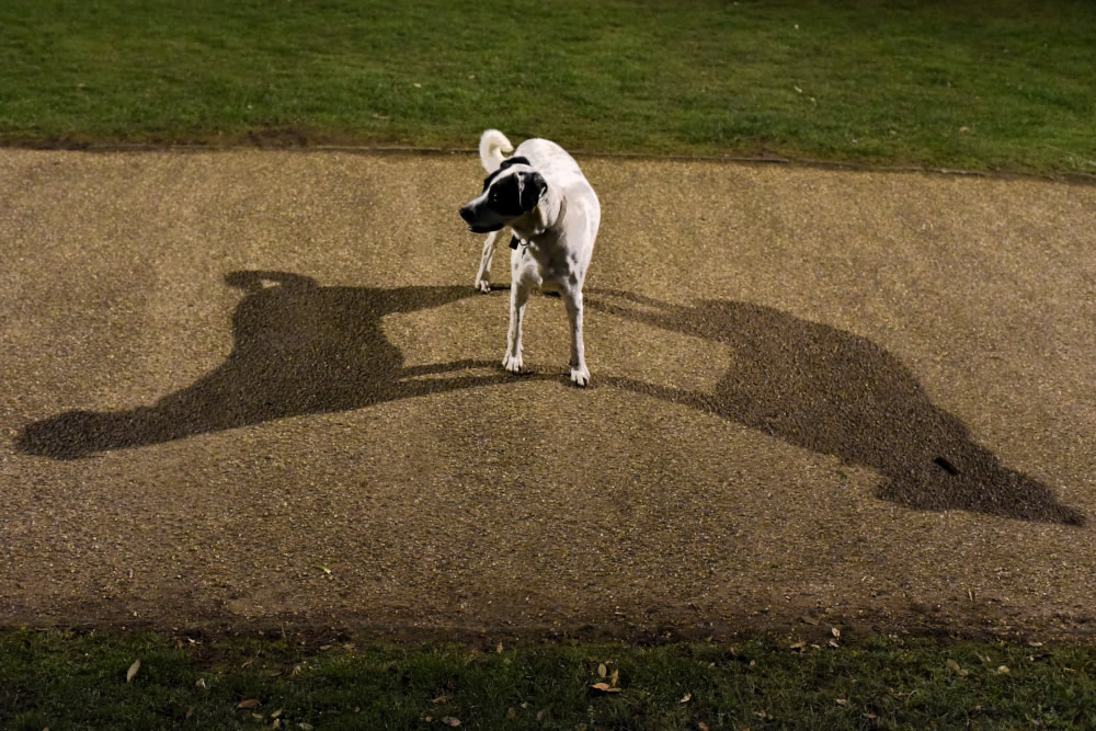 Alison Adcock - Street Photographer from United Kingdom