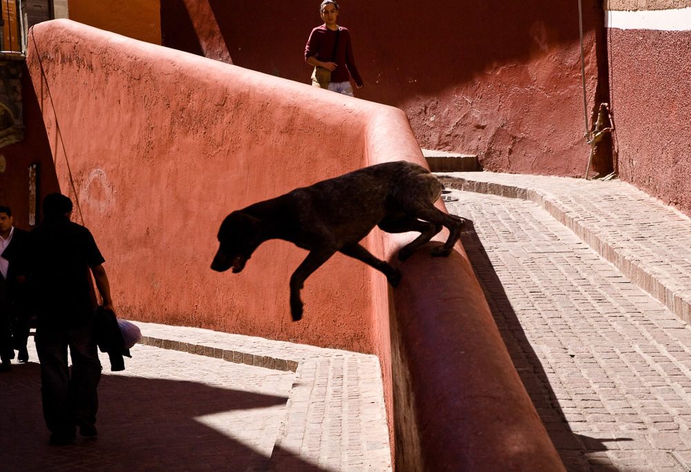 Ed Peters - Street Photographer from New York 