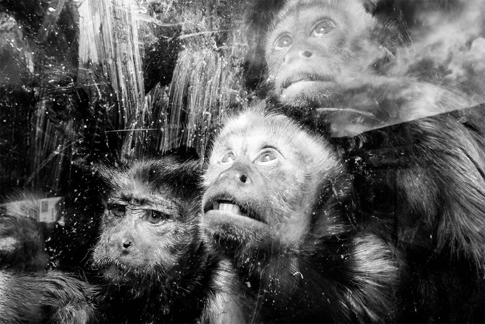 Flash Street Photography By Gareth Bragdon