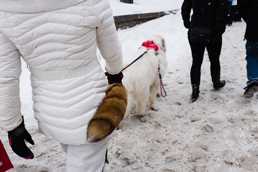 Les Beaux Moments - Street Photography Series By Jasmin Gendron