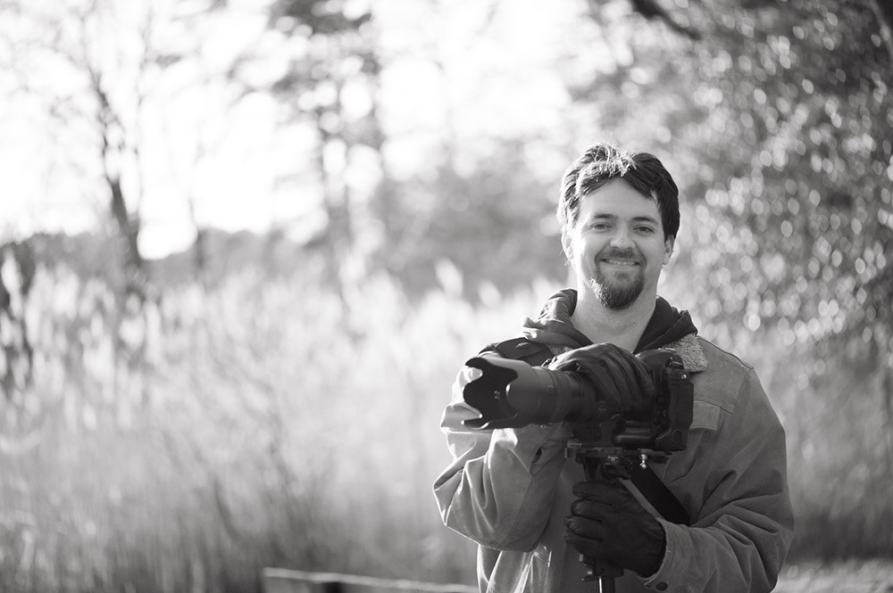 Ray Hennessy - Bird Photographer