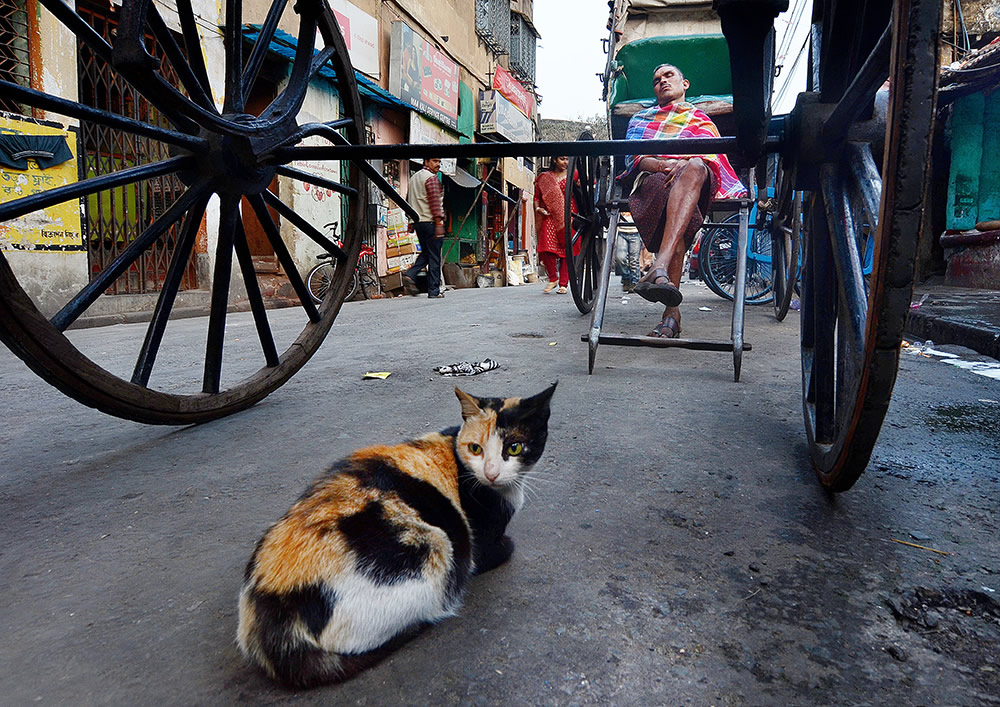 Sirsendu Gayen - Photographer From Kolkata