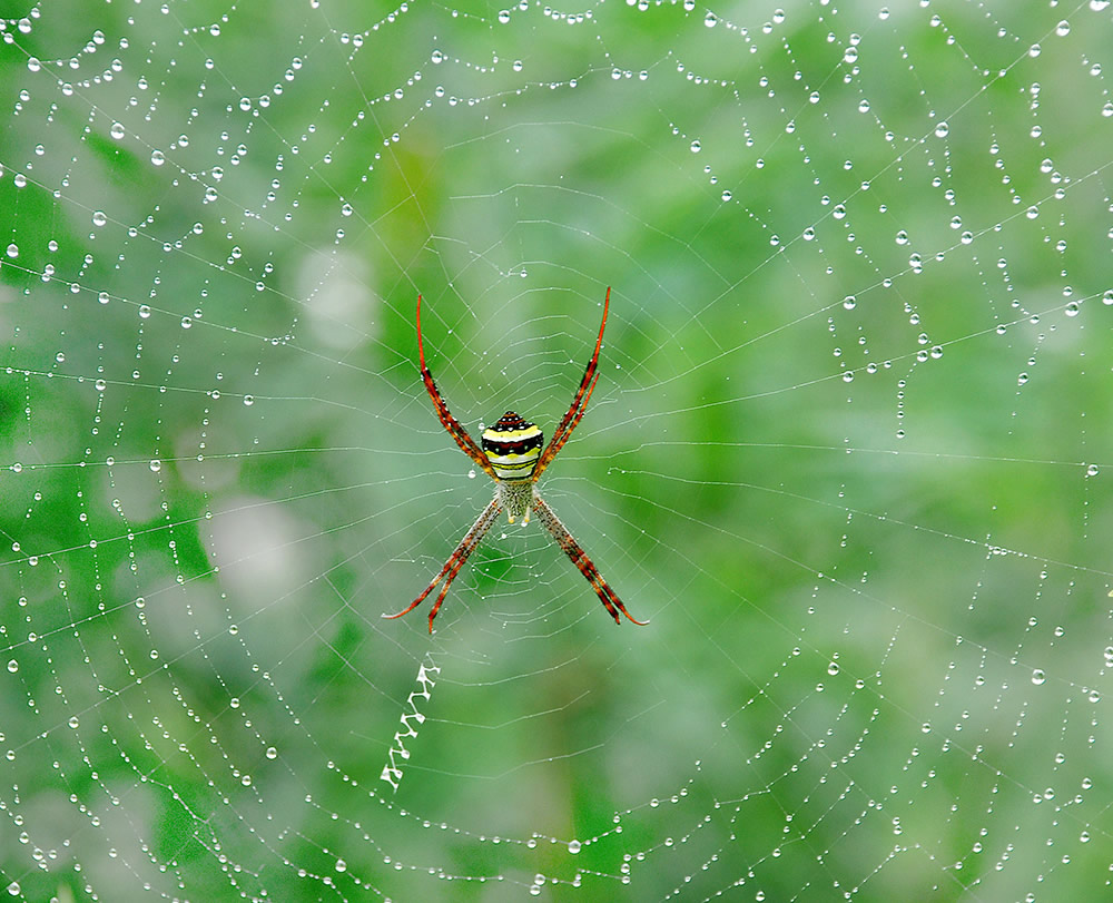 Sirsendu Gayen - Photographer From Kolkata