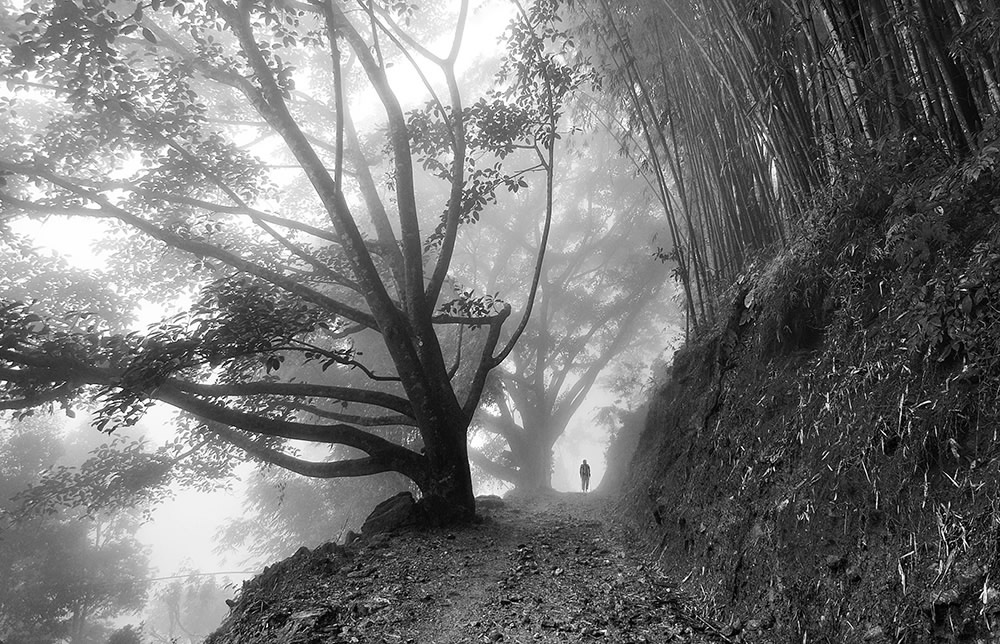 Sirsendu Gayen - Photographer From Kolkata