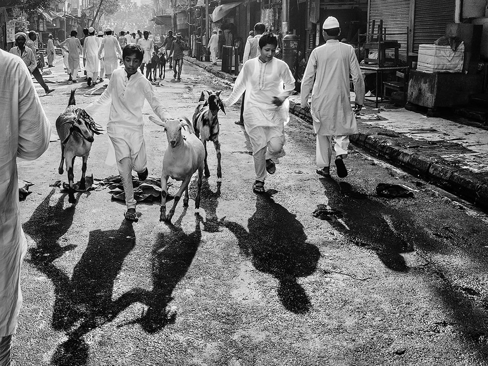 Sirsendu Gayen - Photographer From Kolkata