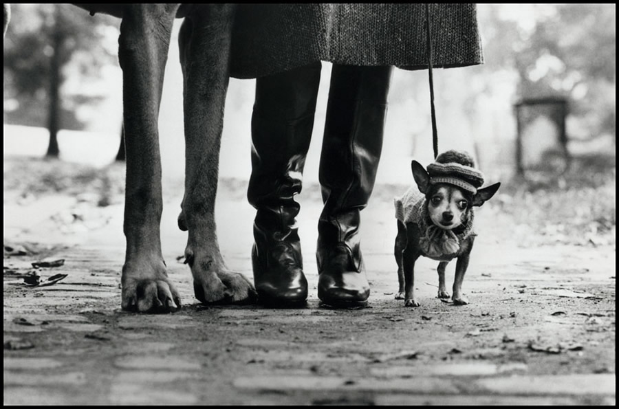 Elliott Erwitt