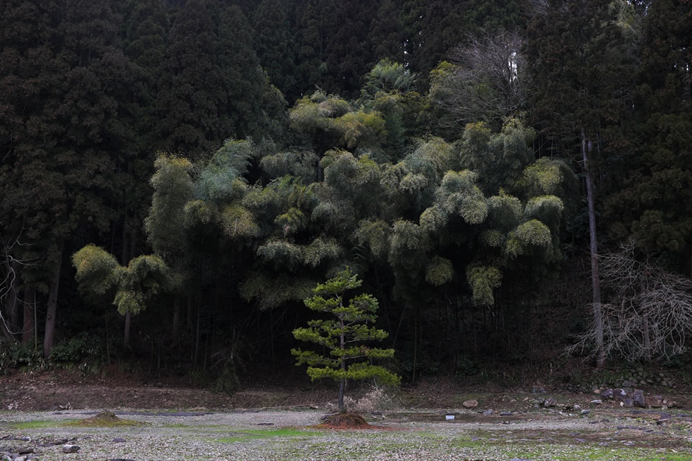 Hidden - Street Photography Series By Japanese Photographer Ryosuke Takamura