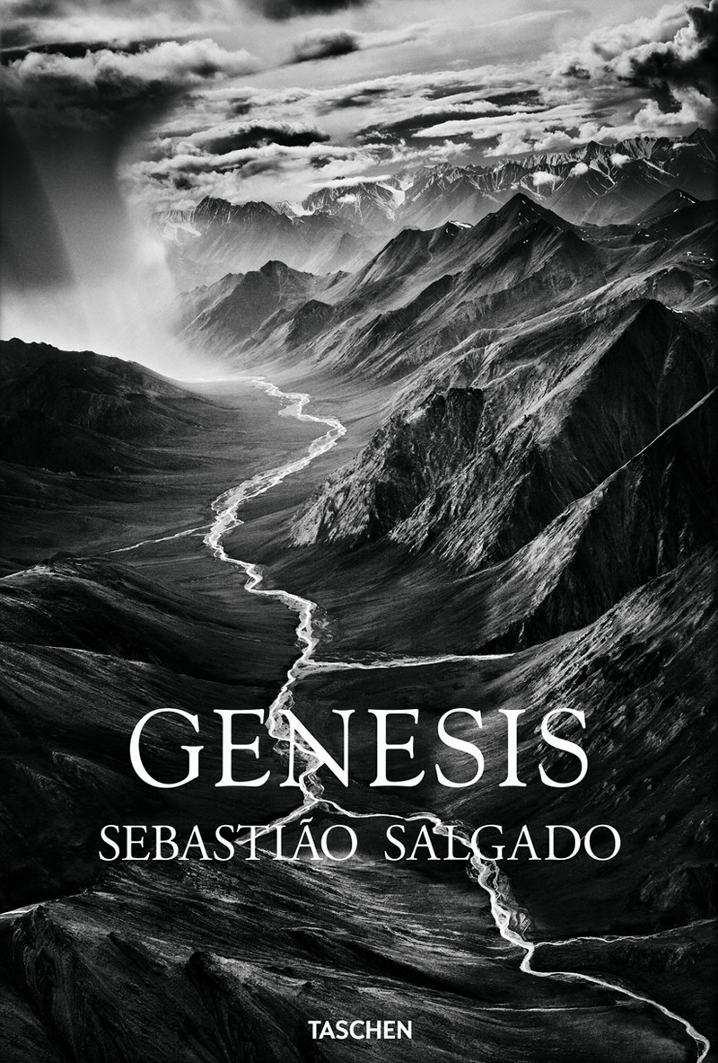 The Book Named 'Genesis' Is Actually About Our Conclusion