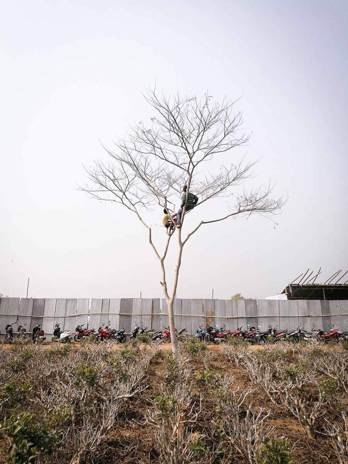 Men Under Bush - Photo Series By Indian Photographer Ashiq MK