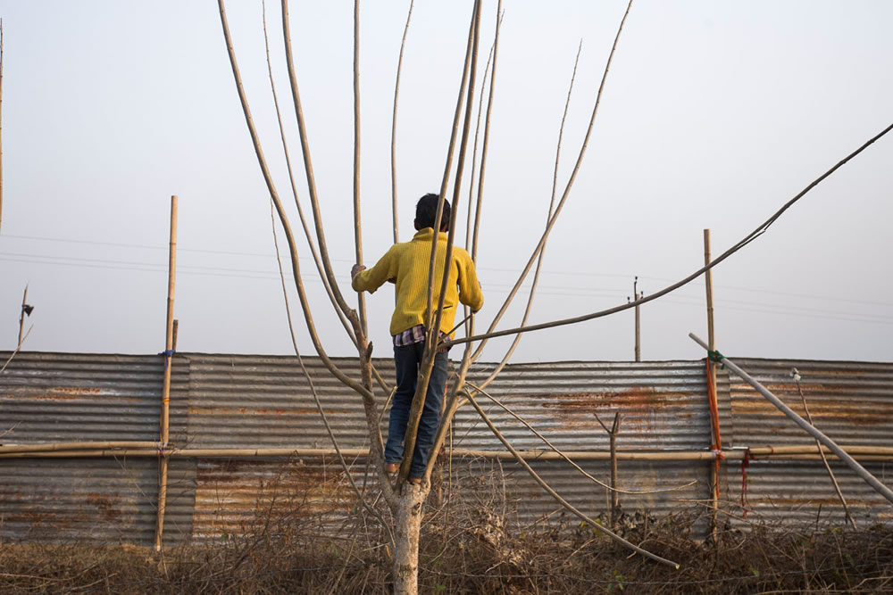 Men Under Bush - Photo Series By Indian Photographer Ashiq MK