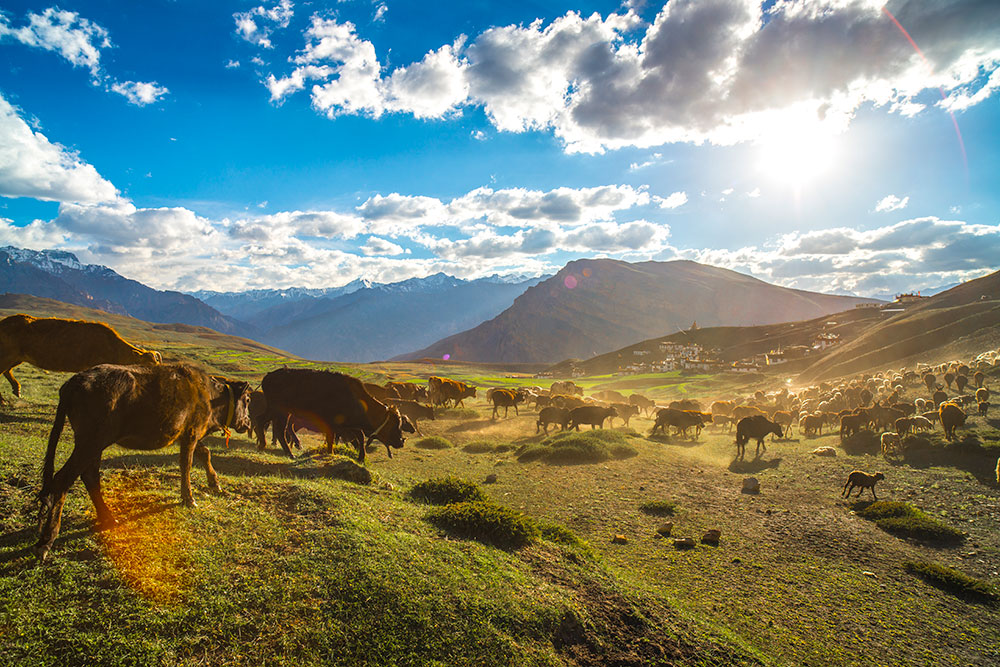 Spiti - A Real Experience Of A Lifetime By Aman Chotani