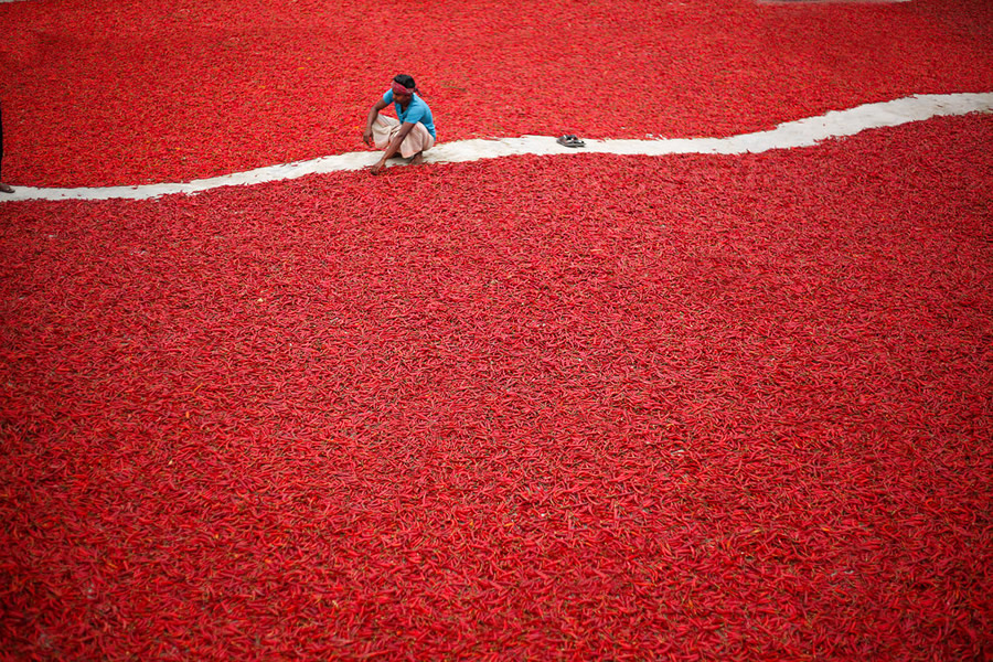 Chilli, Bangladesh - Best Top Photos on 121 Clicks Flickr Group