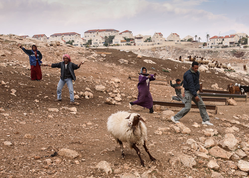 Jahalin - Photo Series By Israeli Photographer Yaniv Nadav