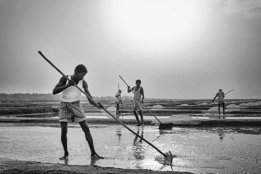 Life In Salt Pans - Photo Series By Indian Photographer Padmanabhan Rangarajan