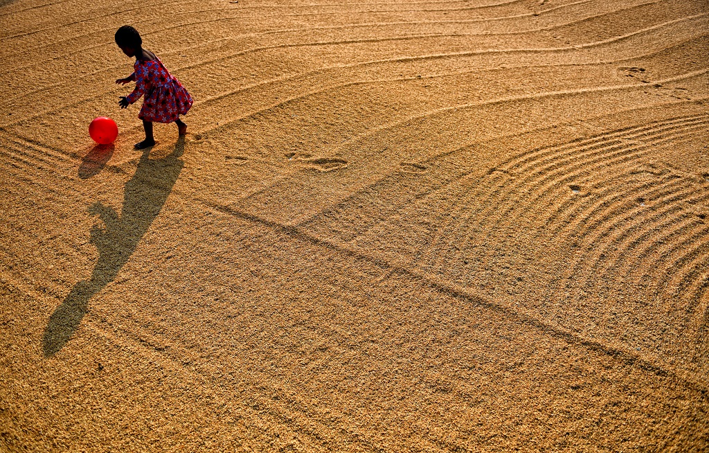 Manual Drying Process Of Rice Grain: Photo Series By Indian Photographer Avishek Das