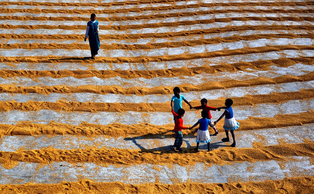 Manual Drying Process Of Rice Grain: Photo Series By Indian Photographer Avishek Das