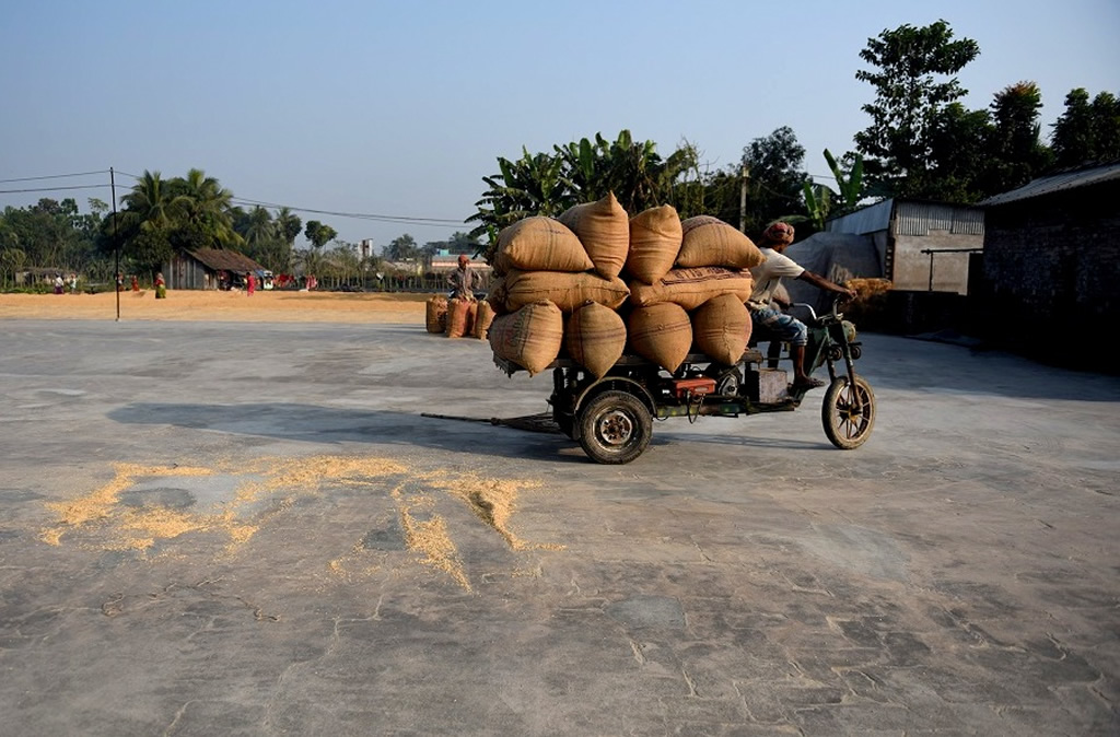 Manual Drying Process Of Rice Grain: Photo Series By Indian Photographer Avishek Das