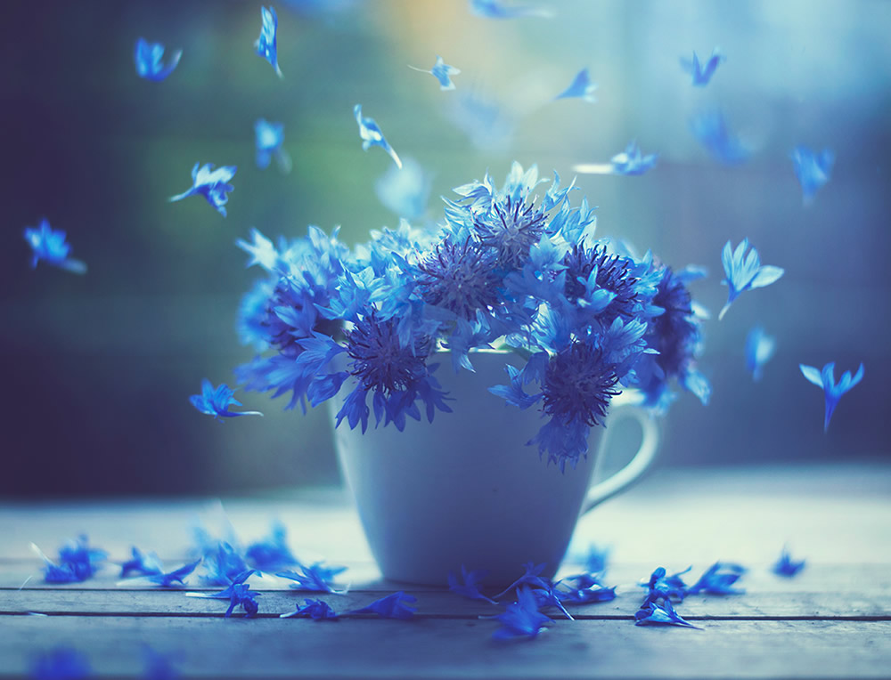 Interview With Bangladeshi Photographer Ashraful Arefin