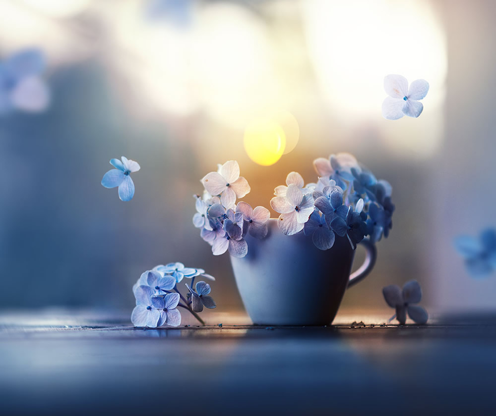 Interview With Bangladeshi Photographer Ashraful Arefin