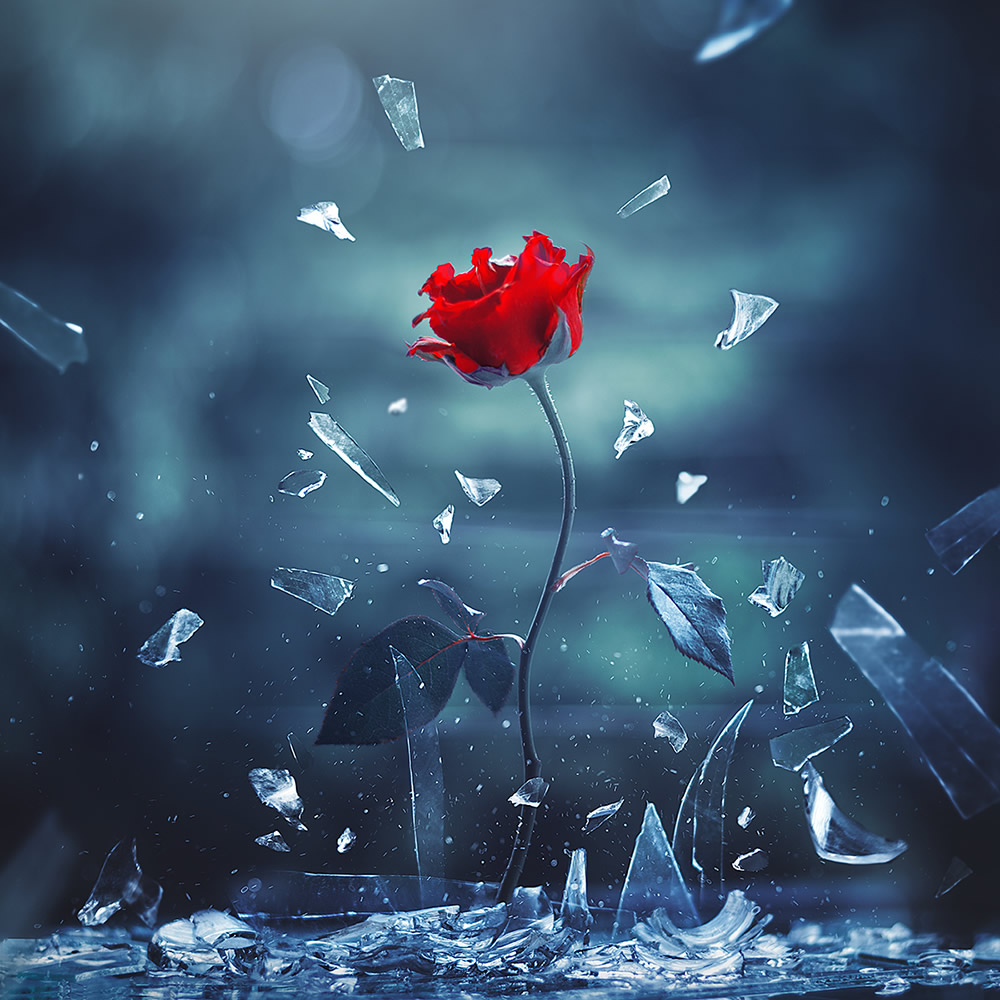 Interview With Bangladeshi Photographer Ashraful Arefin