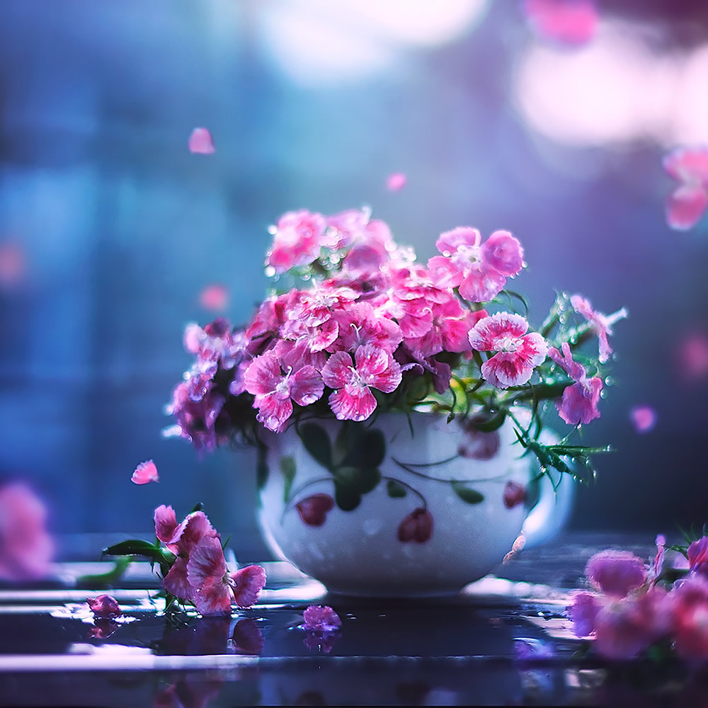 Interview With Bangladeshi Photographer Ashraful Arefin