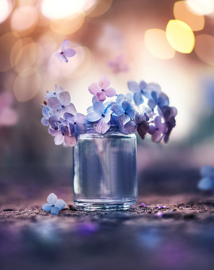 Interview With Bangladeshi Photographer Ashraful Arefin