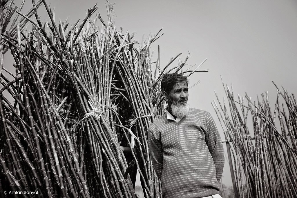 Dolua Mela: Photo Series By Indian Photographer Amlan Sanyal