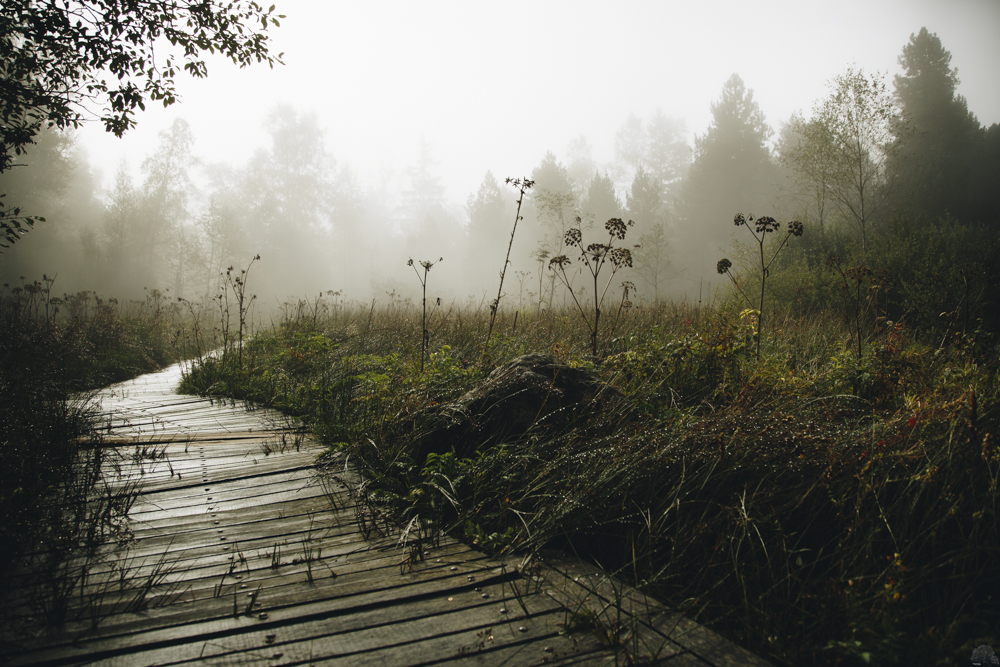 Interview With European Landscape Photographer Fabrice Forest