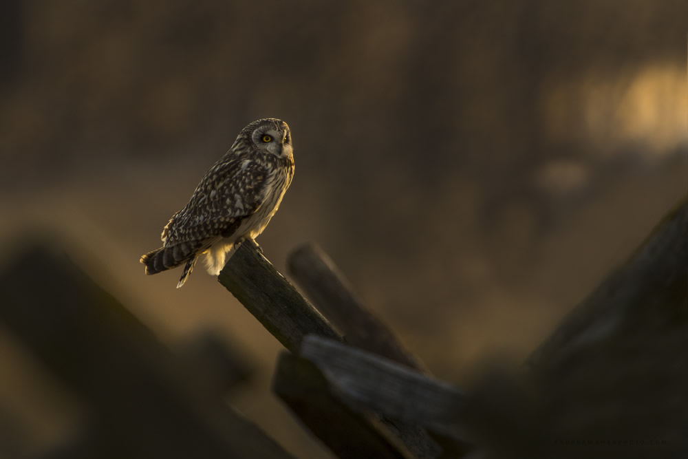 Interview With Nature Photographer Khurram Khan