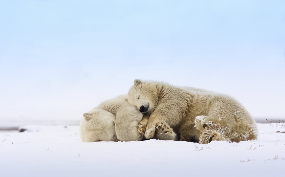 Interview With Canadian Nature Photographer Missy Mandel