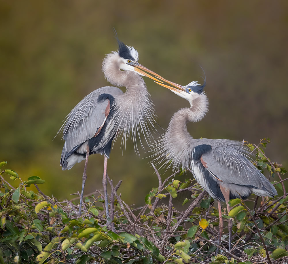 Interview With Canadian Nature Photographer Missy Mandel