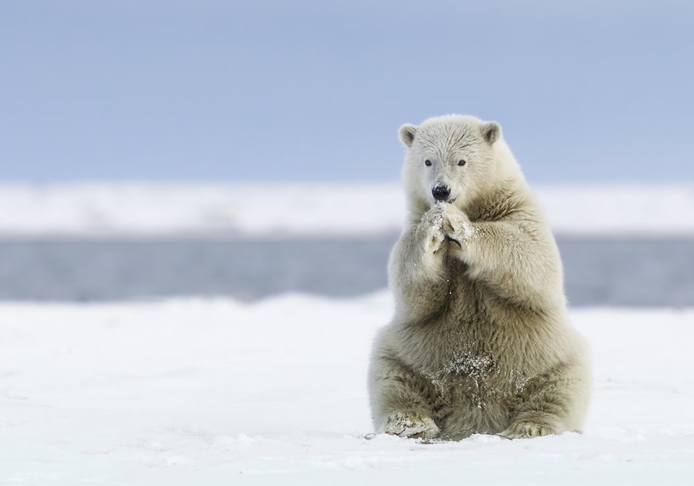 Interview With Canadian Nature Photographer Missy Mandel