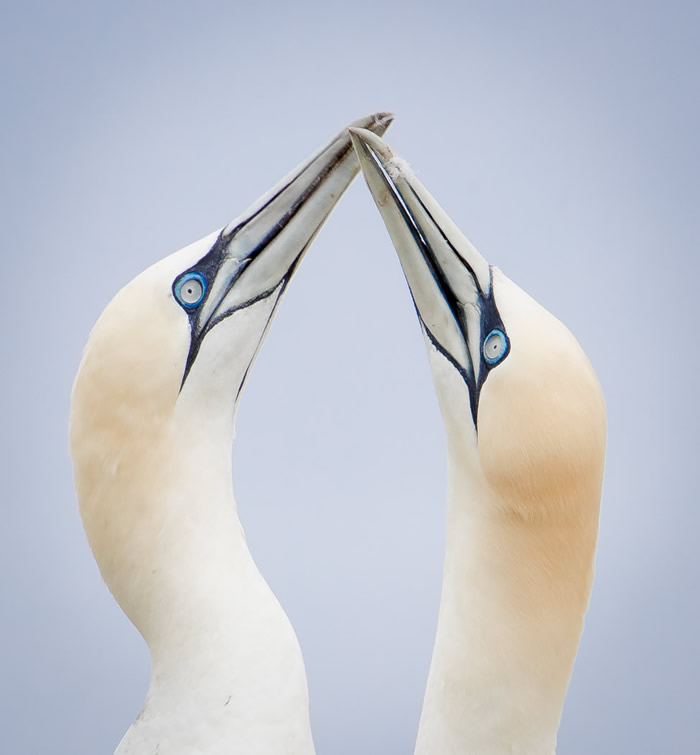 Interview With Canadian Nature Photographer Missy Mandel