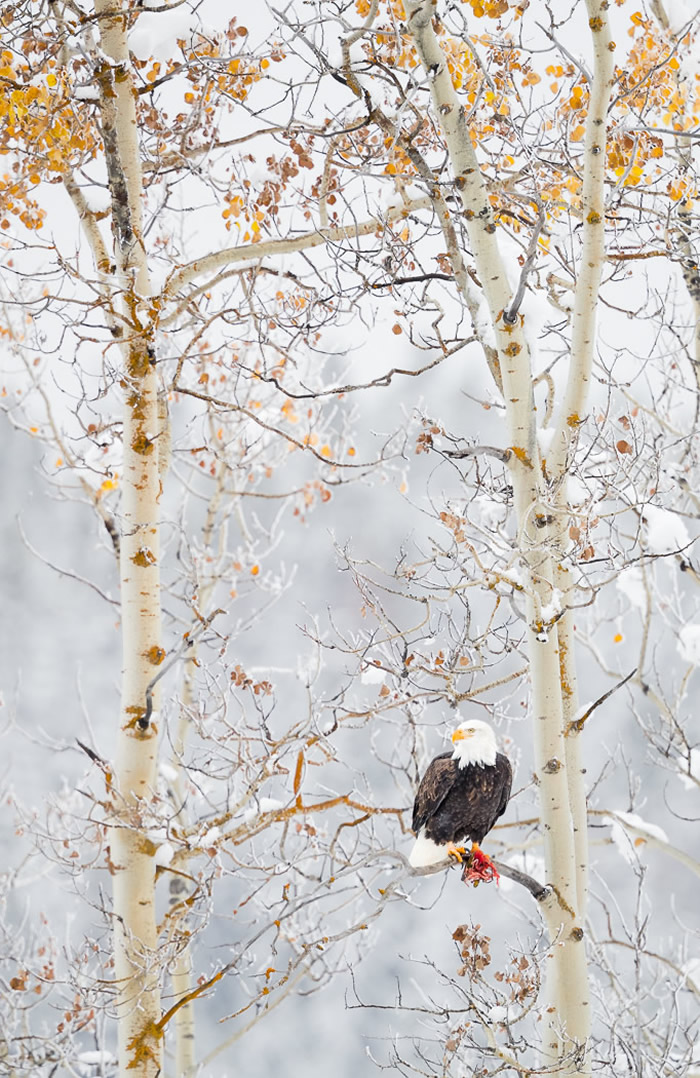 Interview With Canadian Nature Photographer Missy Mandel