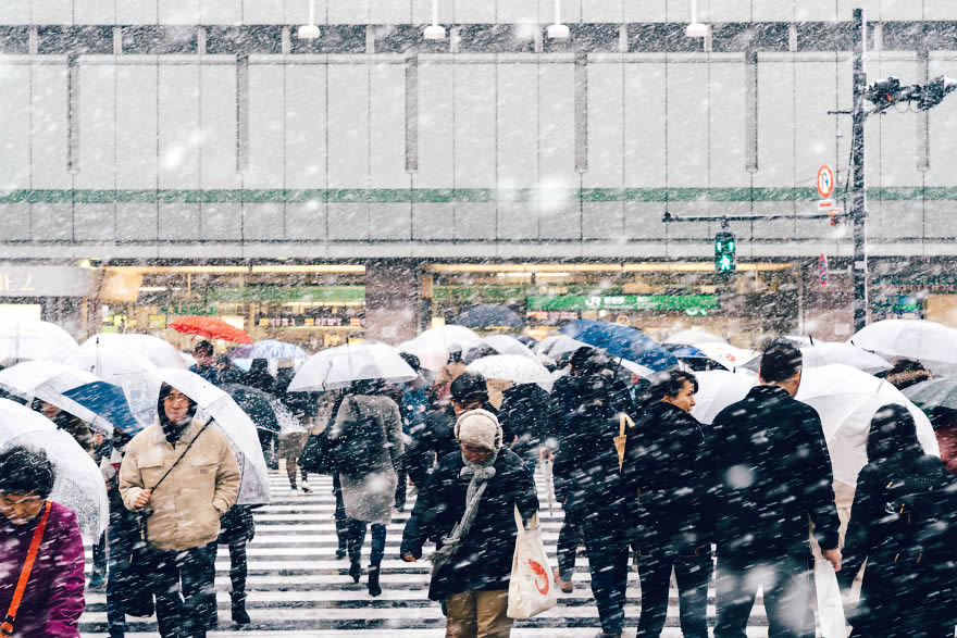 #17 Snowy Shinjuku, Tokyo
