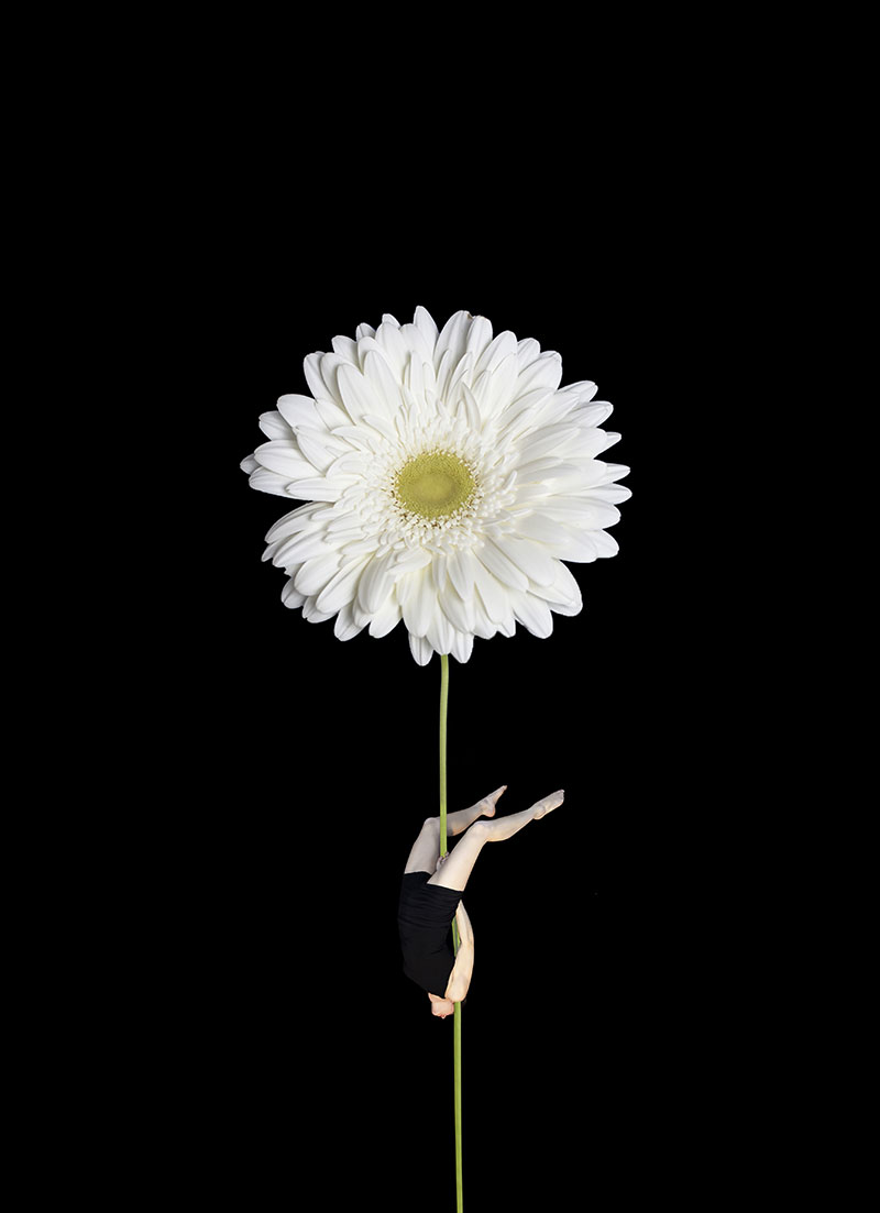 Aerial Flowers: Photo Series By Italian Photographer Erika Zolli