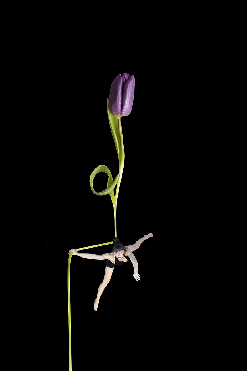 Aerial Flowers: Photo Series By Italian Photographer Erika Zolli