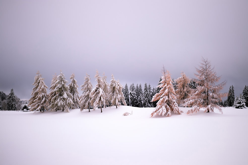 Interview With Swiss Nature Photographer Guillaume Kaufmann