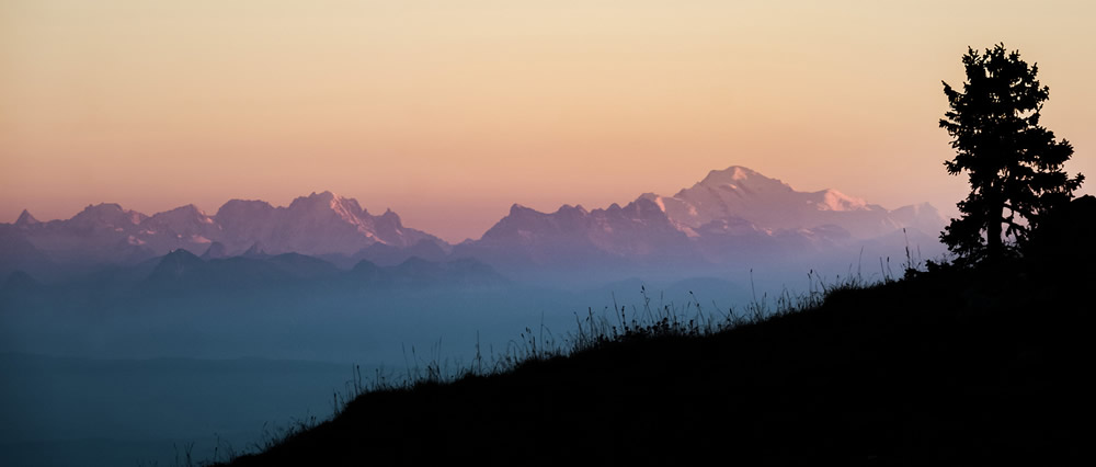 Interview With Swiss Nature Photographer Guillaume Kaufmann