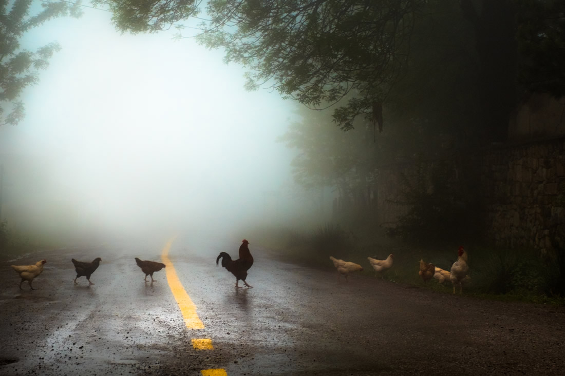 Interview With Turkish Street Photographer İlker Karaman
