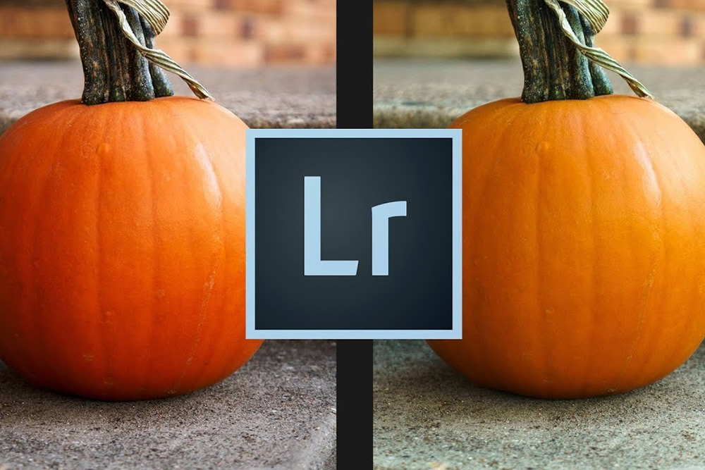 Lightroom vs Capture One: What You Don’t Know About RAW Image Files