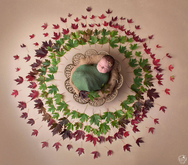 Cutest Photos Of Newborns At The Center Of Handmade Mandalas By Gabriele Dabasinskaite