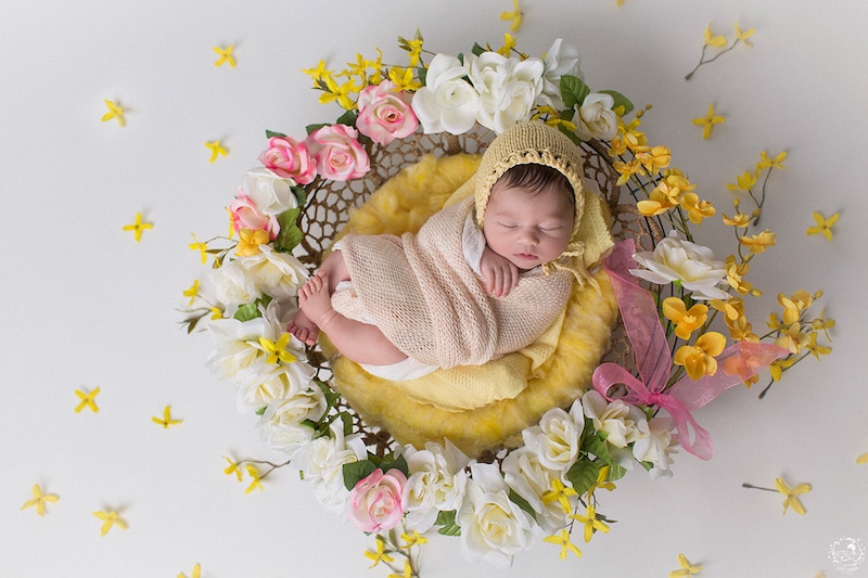 Cutest Photos Of Newborns At The Center Of Handmade Mandalas By Gabriele Dabasinskaite